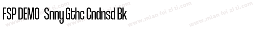 FSP DEMO   Snny Gthc Cndnsd Bk Regu字体转换